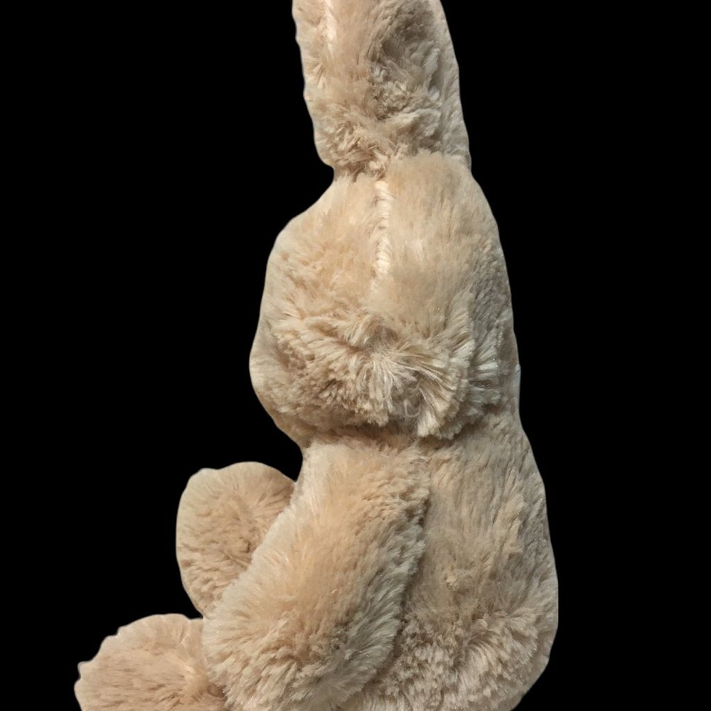 HTF Animal Adventure Tan Bunny Rabbit Plush Cream Ears Sweet Sprouts 2015 Lovey - Picture 4 of 7